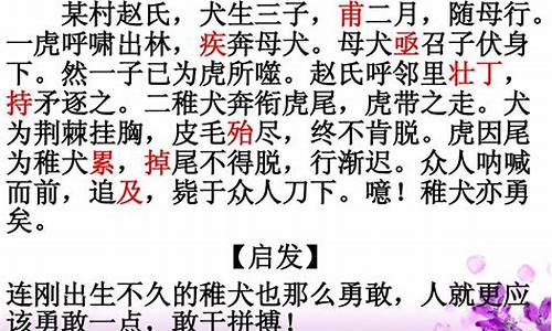 有关成语的文言文及翻译_有关成语的文言文