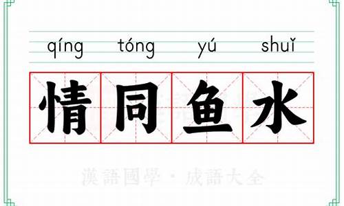 情同鱼水打三个数字_情同鱼水打一生肖正确答案