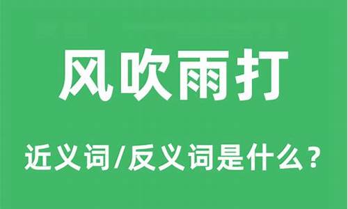 风吹雨打打一数字_风吹雨打打一生肖是什么