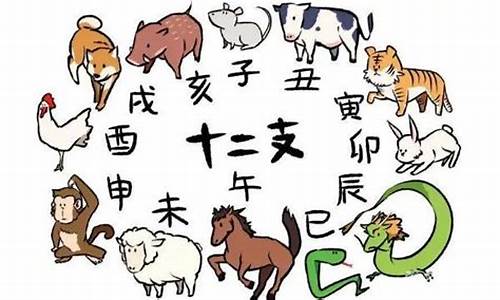 猪马牛打一生肖是什么寓意是什么寓意_猪牛马群中是什么生肖