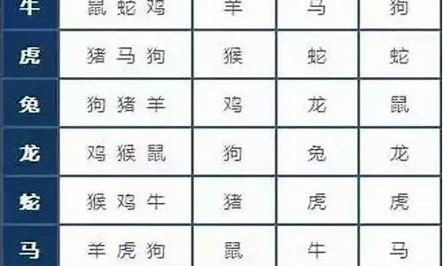 比冲计算公式_比冲打一生肖是什么寓意