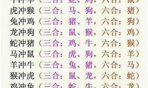 大打一生肖是什么动物_大属于什么生肖