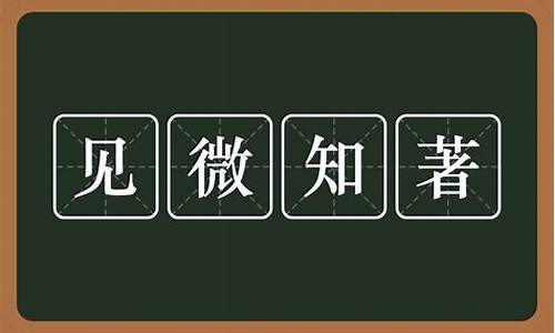 见微知著造句子意思简短一年级_见微知著造句子意思简短一年级下册