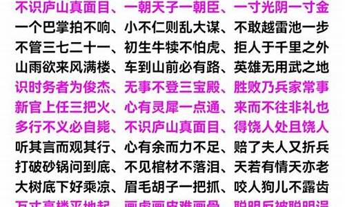 七字开头的成语大全集_七字开头的成语大全集500个